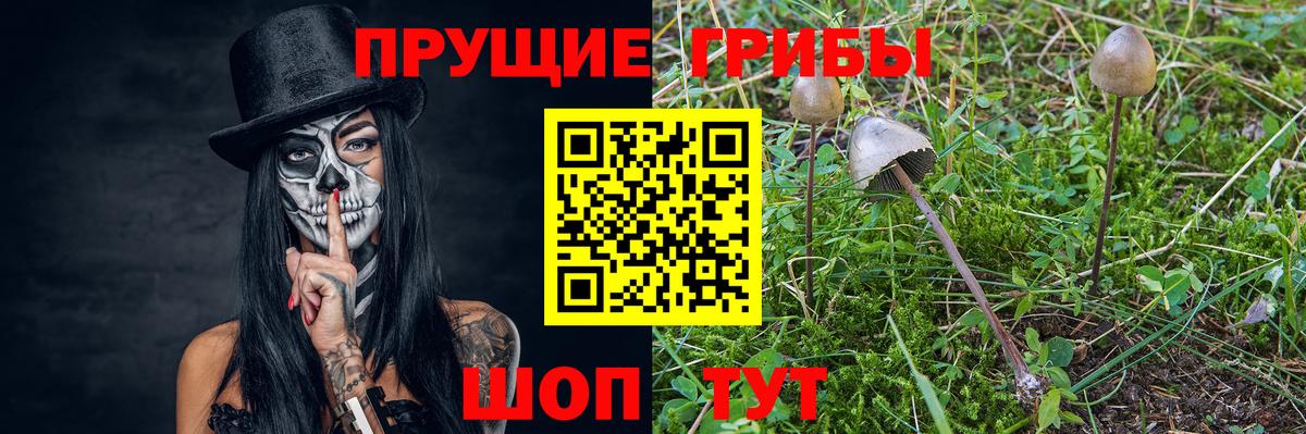 Бошки Шишки Тосно