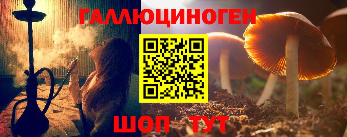 Псилоцибиновые грибы GOLDEN TEACHER Тосно