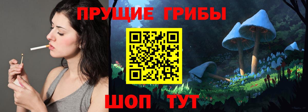 Псилоцибиновые грибы MAGIC MUSHROOMS  Вход с VPN  Псилоцибиновые грибы ЛСД  Тосно 